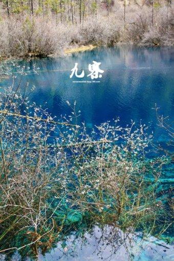 寄递超百亿件 收入超千亿元